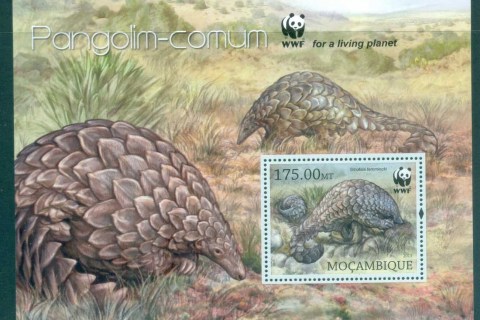 Mozambique-2013-African-Wildlife