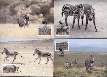 Namibia-1991 WWF Hartmann\'s Mountain Zebra Maxicards