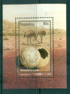 Namibia-1995-Fossils