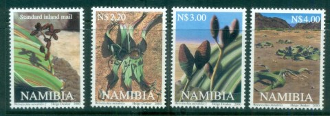 Namibia-2000-Welwitschia-Plants-MUH