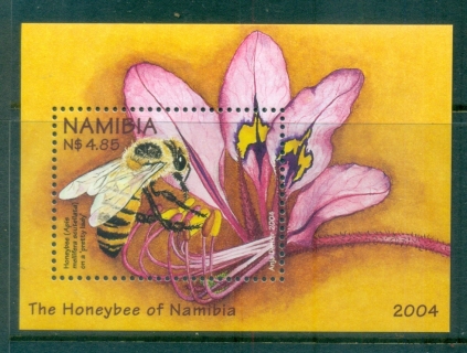 Namibia-2004-Honeybees-on-Flowers-MS-MLH