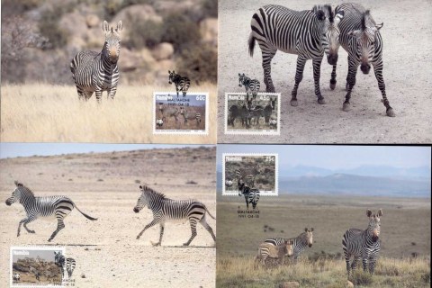Namibia-1991 WWF Hartmann\'s Mountain Zebra Maxicards