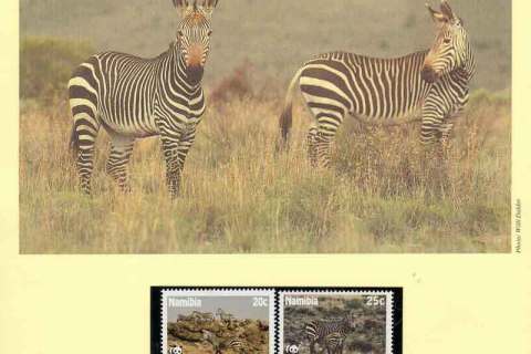 Namibia-1991 WWF Hartmann's Zebra