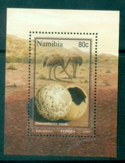 Namibia-1995-Fossils-MS-MUH
