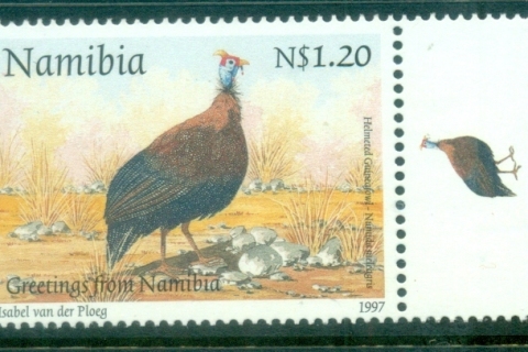 Namibia-1997-Bird