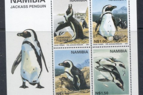 Namibia-1997-WWF-Jackass-Penguins-MS-MUH
