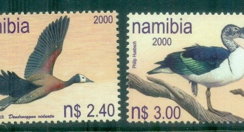 Namibia-2000-Birds