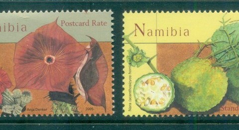 Namibia-2005-Medicinal-Plants-MUH