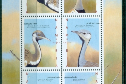 Namibia-2011-Birds
