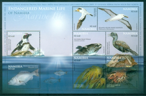 Namibia-2011-Endangered-Fauna-of-Namibia-Birds-MS-MUH