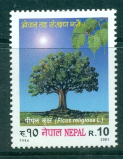 Nepal-2001-Ficus-Religiosa-Fig-Tree-MUH-lot34926