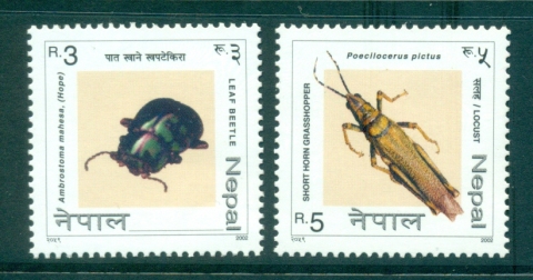 Nepal-2002-Insects-MUH-lot34939