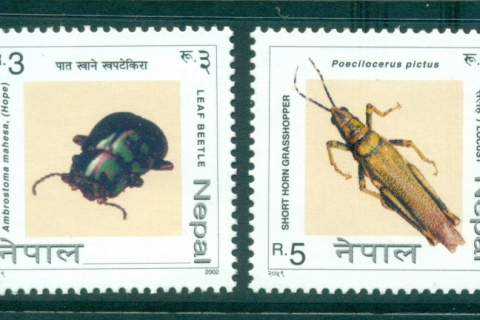 Nepal-2002-Insects-MUH-lot34939