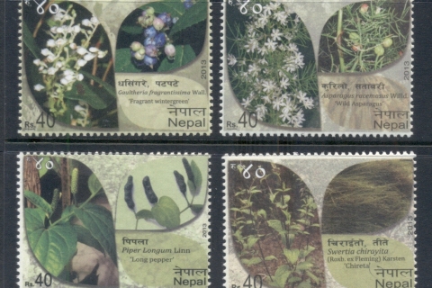 Nepal-2013-Plants-MUH