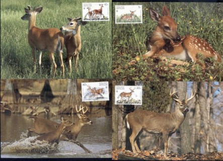 Netherlands-Antilles-1992 WWF White-tailed Deer Maxicards