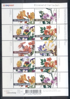 Netherlands-2003-Flowers-MS-MUH