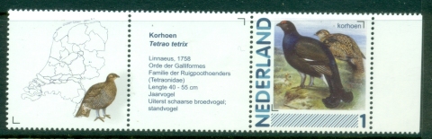 Netherlands-2013-Birds-pair-label-MUH