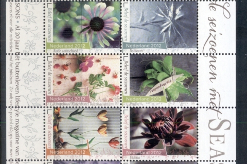 Netherlands-2012-Flowers