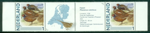 Netherlands-2013-Birds-pair-label-MUH