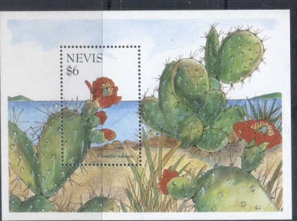 Nevis-1995-Cacti-2