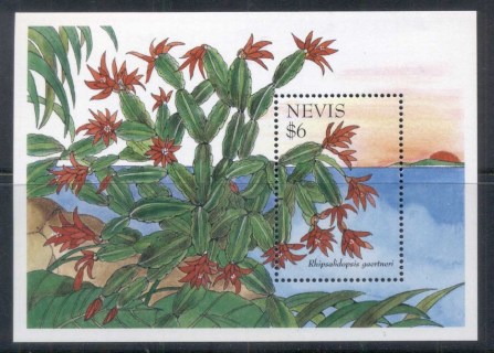 Nevis-1995-Cacti-3