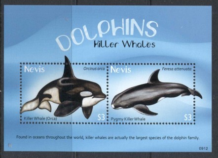 Nevis-2009-Whales-MS-MUH-2