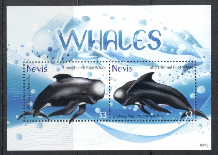 Nevis-2009-Whales-MS-MUH