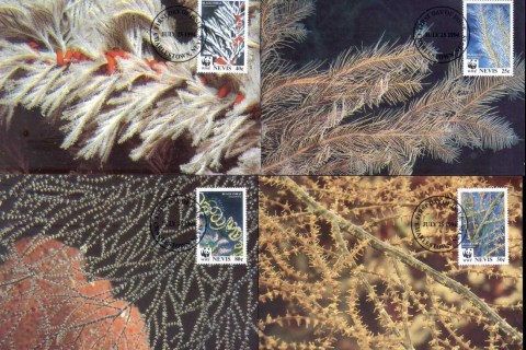 Nevis-1994 WWF Black Corals Maxicards