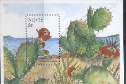 Nevis-1995-Cacti-2