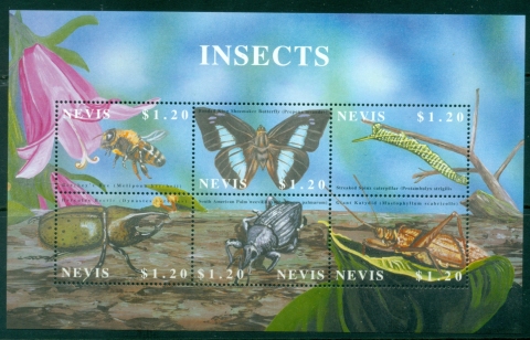 Nevis-2002-Insects-from-Around-the-World-MS-MUH_1