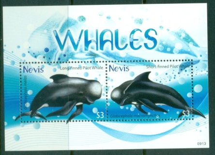 Nevis-2009-Dolphins-Whales-MS-MUH_2