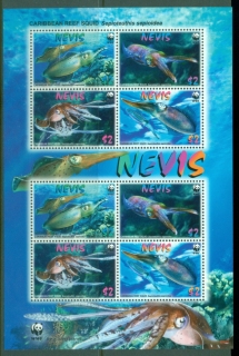 Nevis-2009-WWF-Caribbean-Reef-Squid-MS-MUH