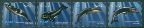 Nevis-2010-Marine-Life-Whales-of-the-Caribbean-MUH