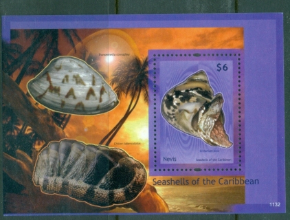 Nevis-2011-Seashells-of-the-Caribbean-MS-MUH_2