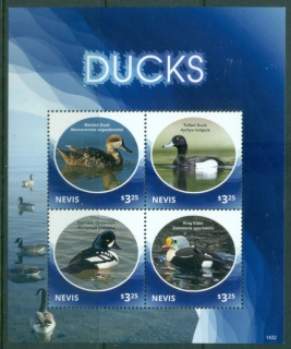 Nevis-2014-Birds-Ducks-MS-MUH