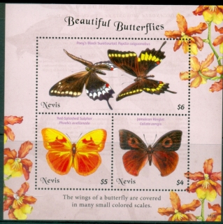Nevis-2018-Insects-Butterflies-MS-MUH