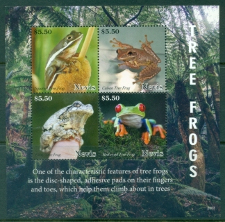 Nevis-2020-Tree-Frogs-MS-MUH_1