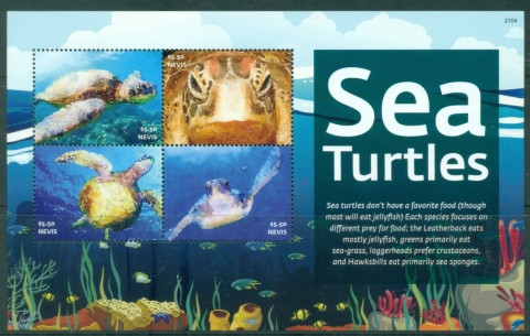 Nevis-2021-Marine-Life-Sea-Turtles-MS-MUH