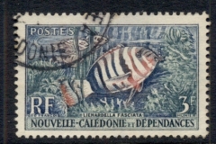 New Caledonia 1959 Fish 3f