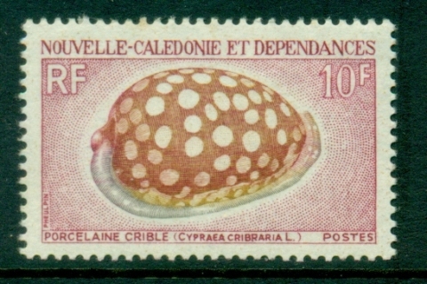 New Caledonia 1970 Seashells 10f