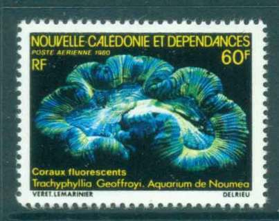 New Caledonia 1980 Coral in Noumea Aquarium