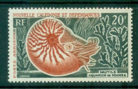 New Caledonia 1972 Airmail Nautilus Shell