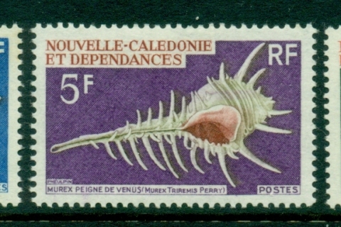 New Caledonia 1969 Seashells