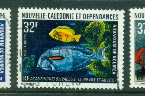 New Caledonia 1974 Noumea Aquarium, marine Life