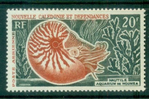New Caledonia 1972 Airmail Nautilus Shell