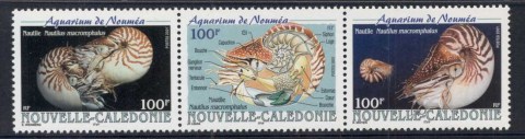 New Caledonia 2001 Marine Life, Noumea Aquarium, Nautilus Shell str3