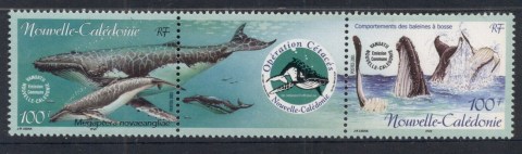 New Caledonia 2001 Marine Life, Operation Cetacean, Whales str