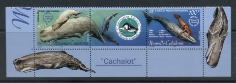 New Caledonia 2002 Operation Cetacean, Whales