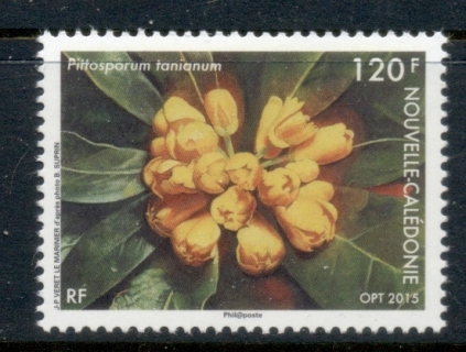 New Caledonia 2015 Flowers, Pittosporum