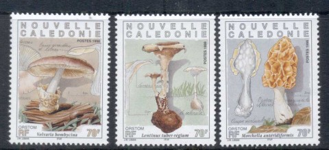 New-Caledonia-1998-Funghi